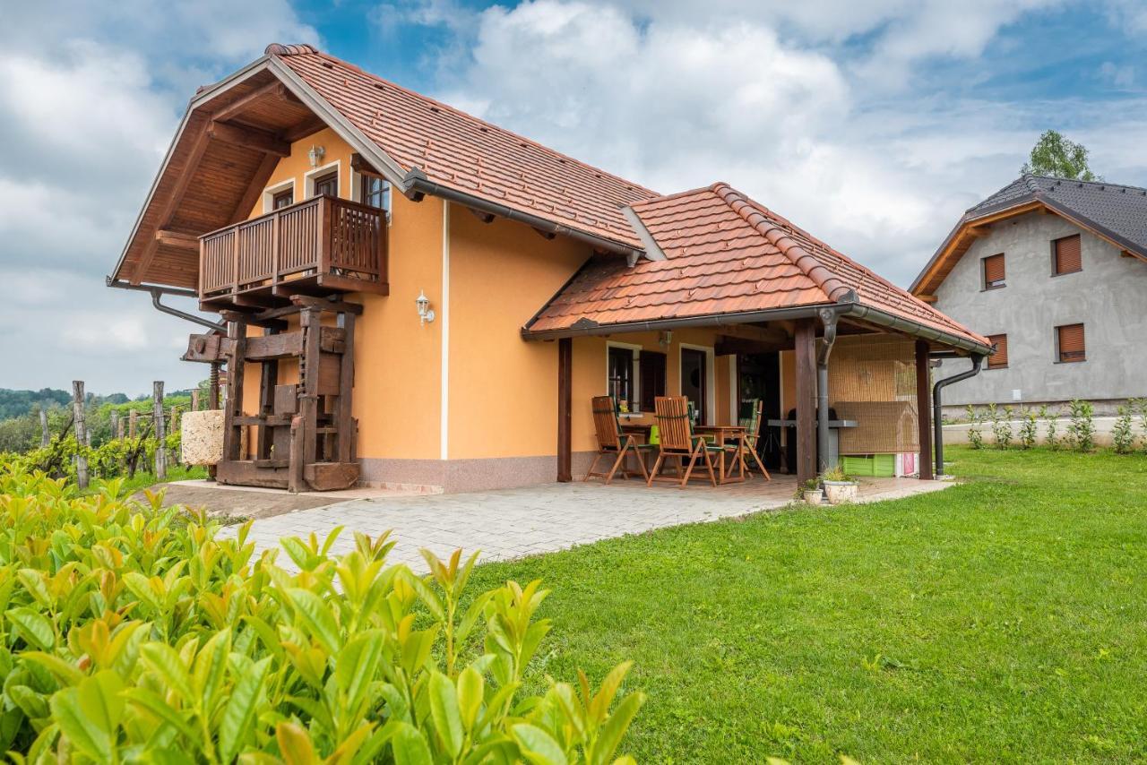 Wineyard Getaway House Sevnica Exterior foto